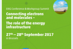 ERIG Conference & Workgroup Summit 2017 in Brussels